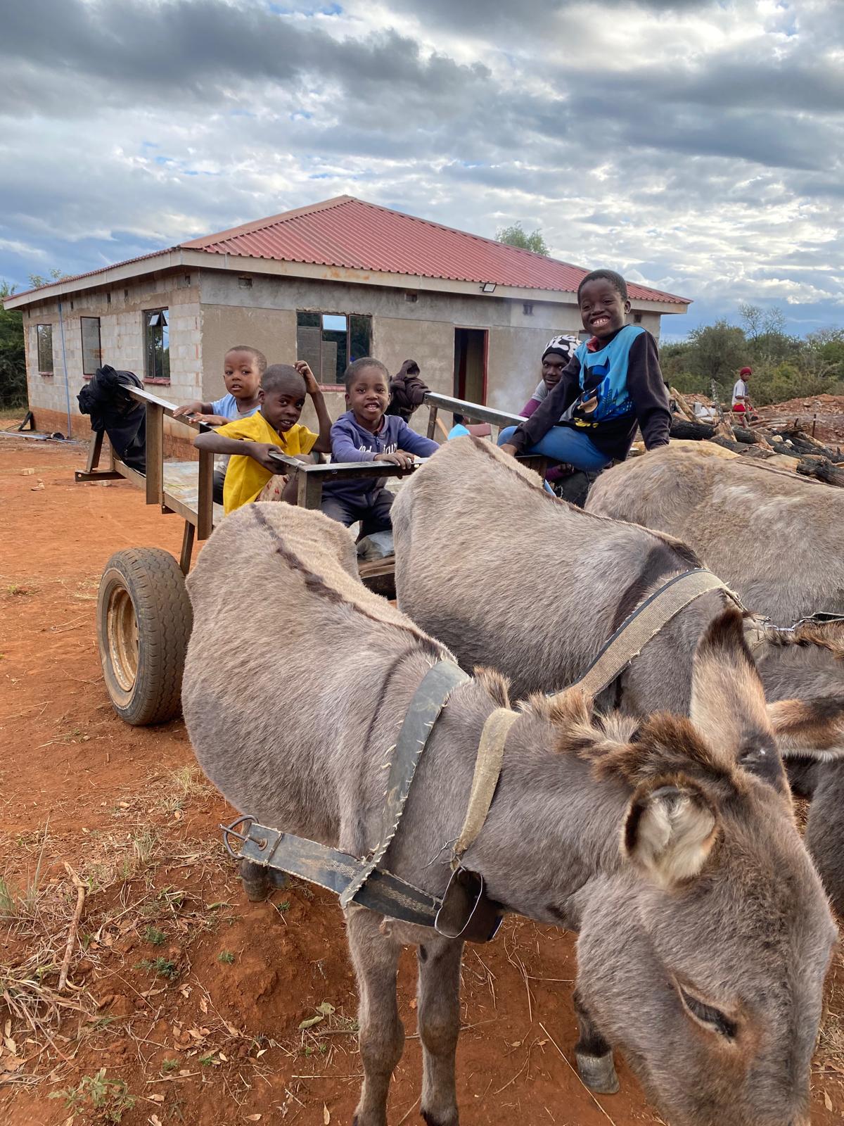 whatsapp image 2026 04 13 at 7.50.57 am (1)